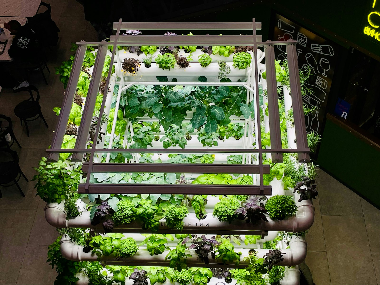 Vegetable beds growing in a greenhouse
